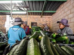 images/Q-cumberland General/Ashante-Lodge-Q-Cumberland-Farming-Lephalale-limpopo-3.jpg